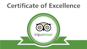 TripAdvisor